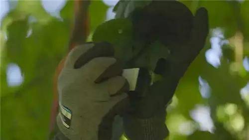唯獨這些抓人眼球的戶外廣告才配叫創(chuàng)意！標識主也滿意10