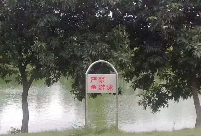 這一些沙雕標(biāo)牌廣告標(biāo)語(yǔ)，讓我站路邊笑了半天停不下來23