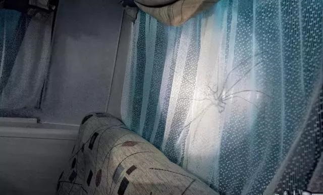 最果的戶外廣告！創(chuàng)意是靈魂35